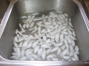 冰在水槽用水