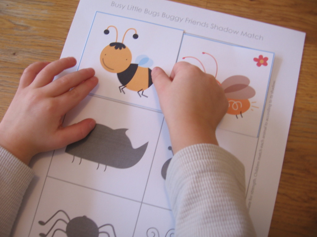 孩子玩虫子阴影比赛