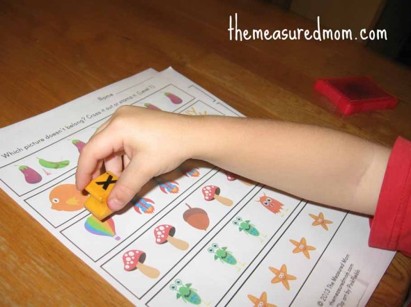 儿童盖章哪些图片不属于工作表