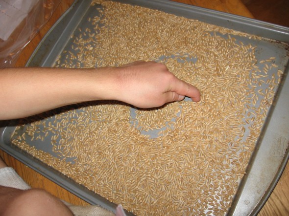 在谷物里写字母G