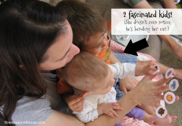 动物园里的动物