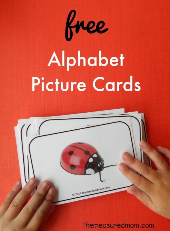 These free printable alphabet cards are gorgeous! Love the bright colors... and they have at least 4 pictures for every letter! 这些免费打印字母卡片是华丽的!喜欢鲜艳的颜色……每个字母至少有4张图片!gydF4y2Ba
