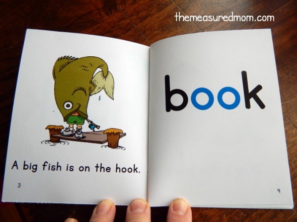 These free decodable books are great for learning ee and oo words! 这些免费可解码的书是伟大的学习ee和oo单词!