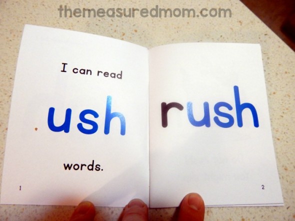 得到这个免费的phonics读者阅读ush, unch, ump, ust, ung,和unk单词!