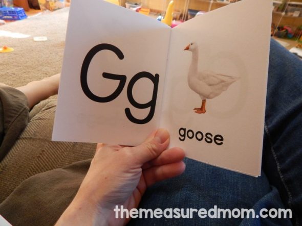 为学龄前儿童寻找字母G的活动?你会喜欢这篇文章中各种各样的免费印刷品!