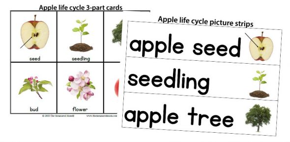 3个零件卡等的图像