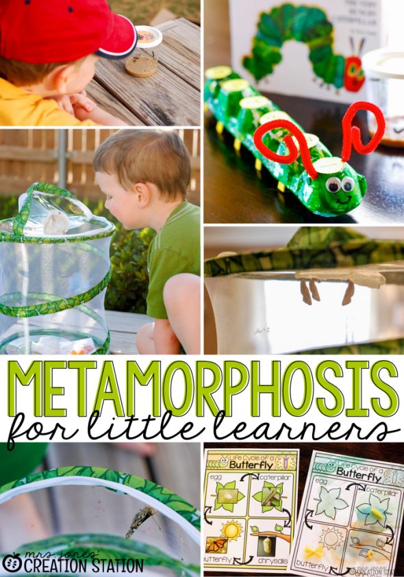 为学龄前和幼儿园拔出这些有趣的春天科学活动!