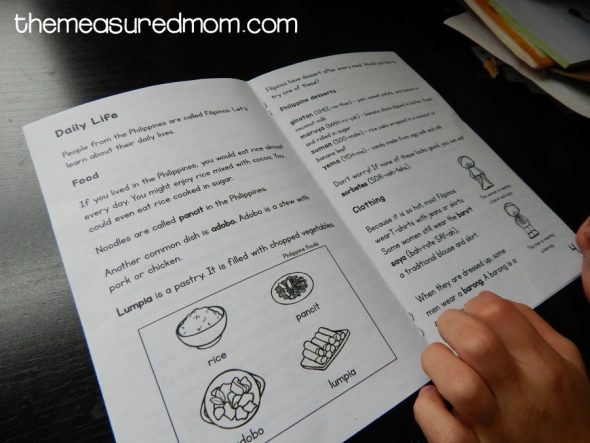 这种具有问题的可打印书籍是二级,三年级和四年级的良好阅读理解活动。