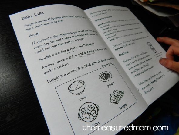 这种具有问题的可打印书籍是二级,三年级和四年级的良好阅读理解活动。