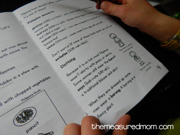 这种具有问题的可打印书籍是二级,三年级和四年级的良好阅读理解活动。