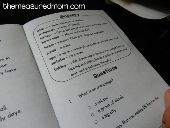 这种具有问题的可打印书籍是二级,三年级和四年级的良好阅读理解活动。