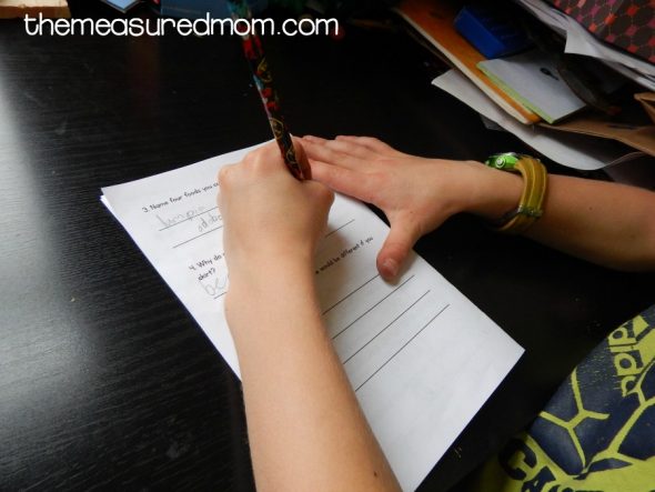 这种具有问题的可打印书籍是二级,三年级和四年级的良好阅读理解活动。