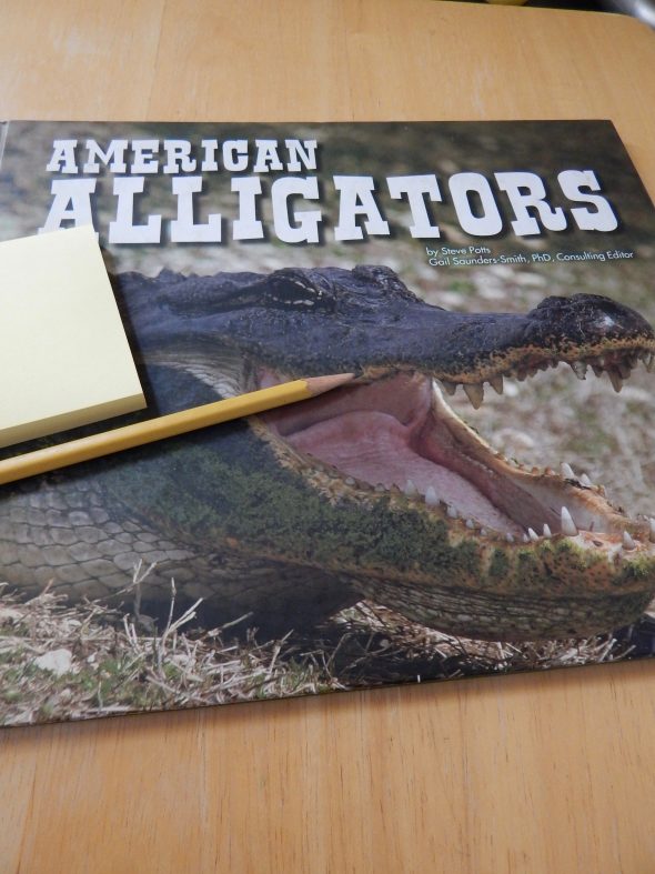 了解如何教授激活先前知识的理解技能。