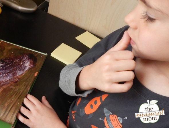 了解如何教授激活先前知识的理解技能。