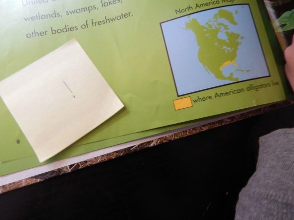 了解如何教授激活先前知识的理解技能。