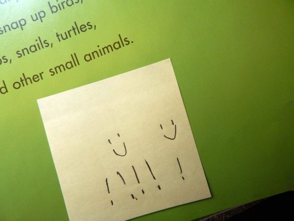 了解如何教授激活先前知识的理解技能。