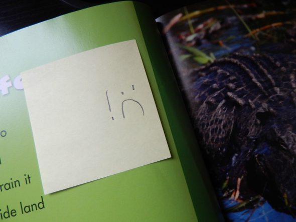 了解如何教授激活先前知识的理解技能。