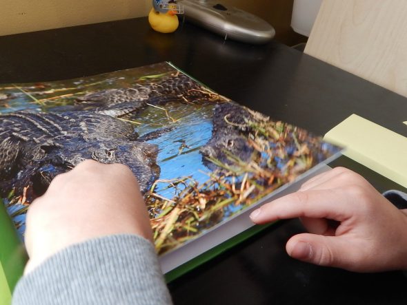 了解如何教授激活先前知识的理解技能。