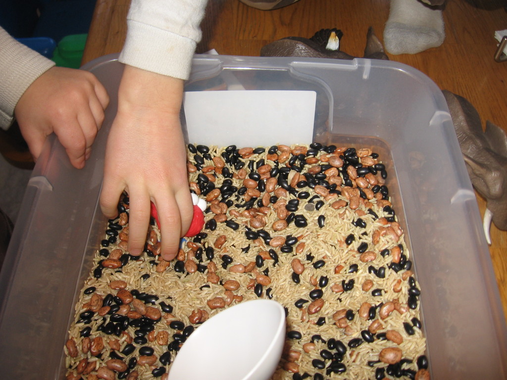 孩子找到字母E项目