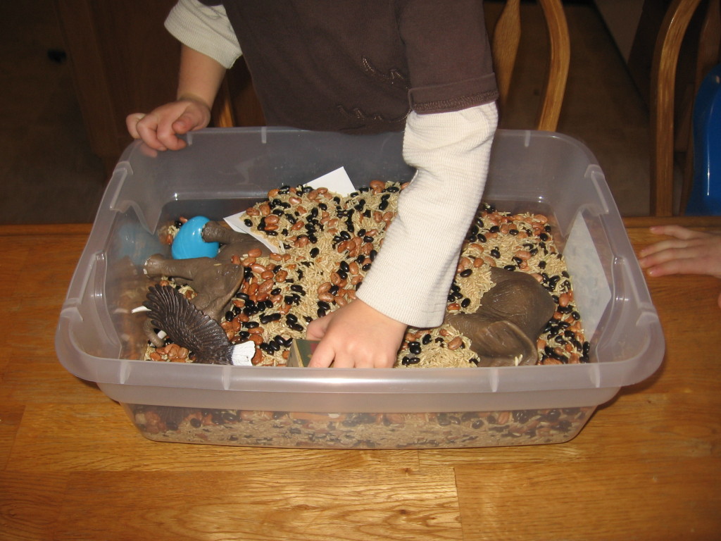 孩子找到字母E项目