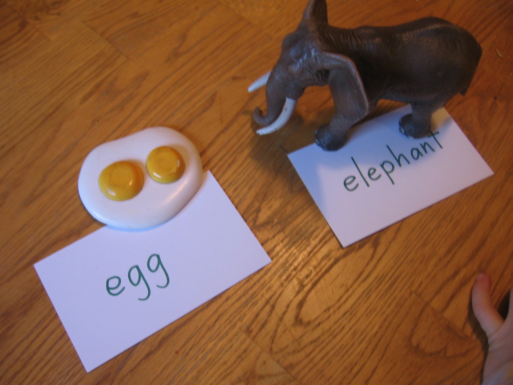 儿童分拣玩具蛋和玩具大象