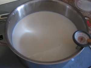 牛奶壶