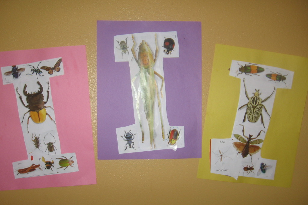 字母I昆虫拼贴画