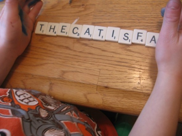 孩子用拼字动物瓦片写词