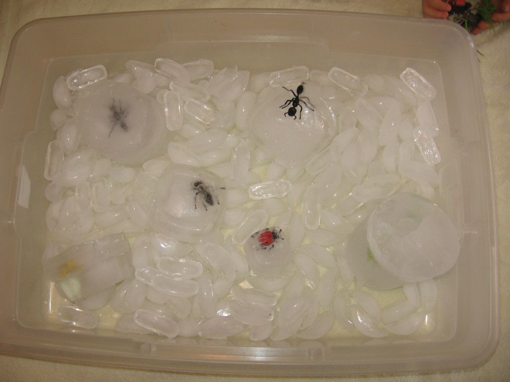 在冰的玩具昆虫