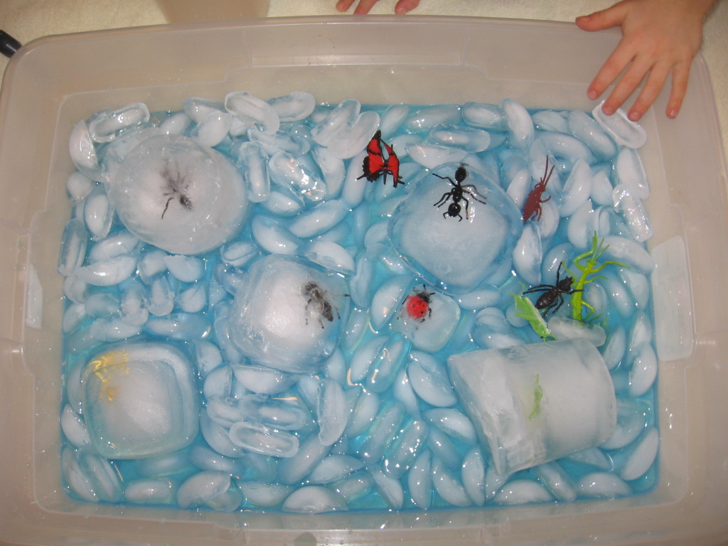 玩具昆虫在冰与大海