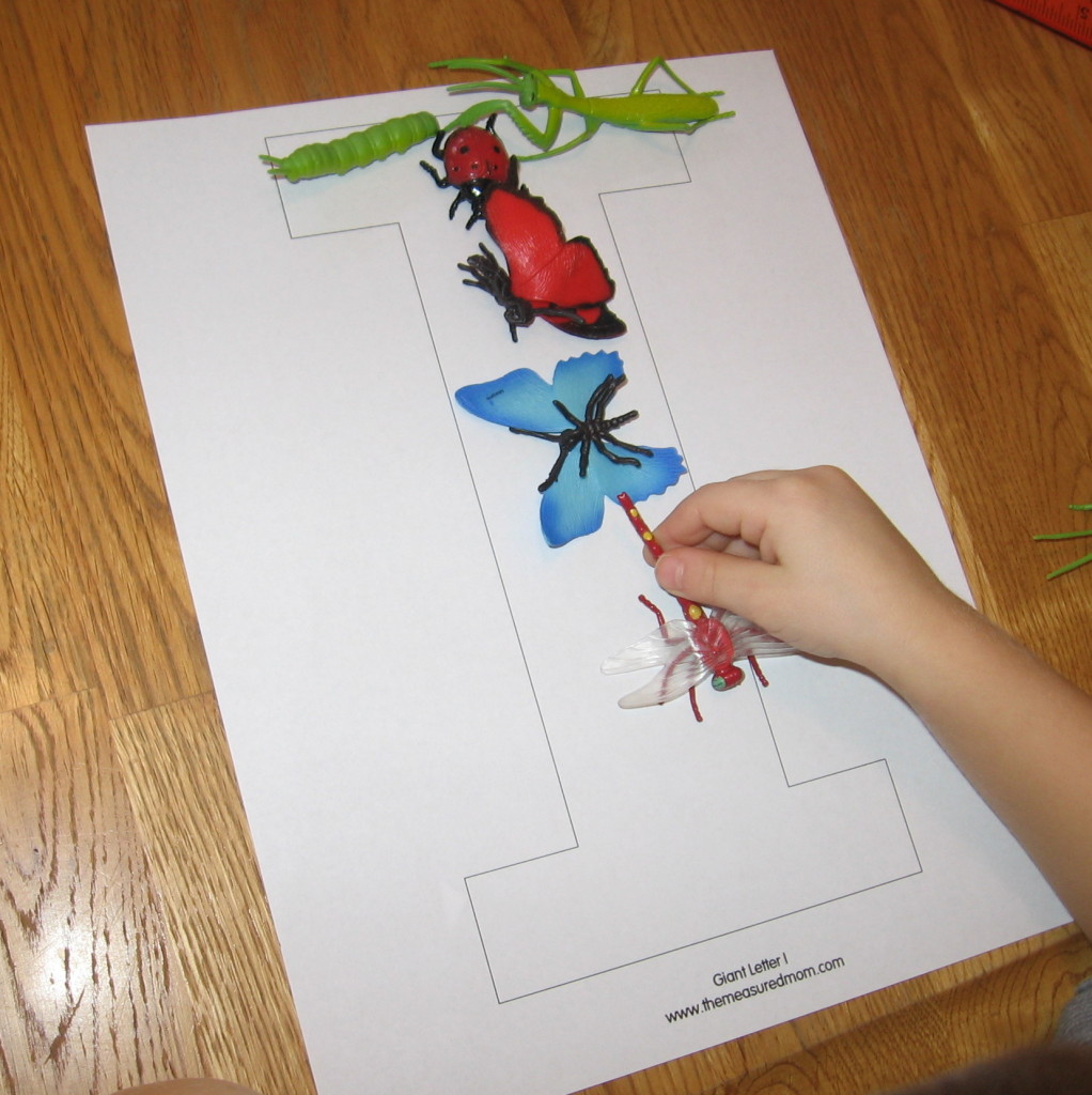 我用玩具昆虫形成的字母