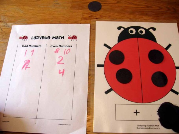 瓢虫数学活动的图片