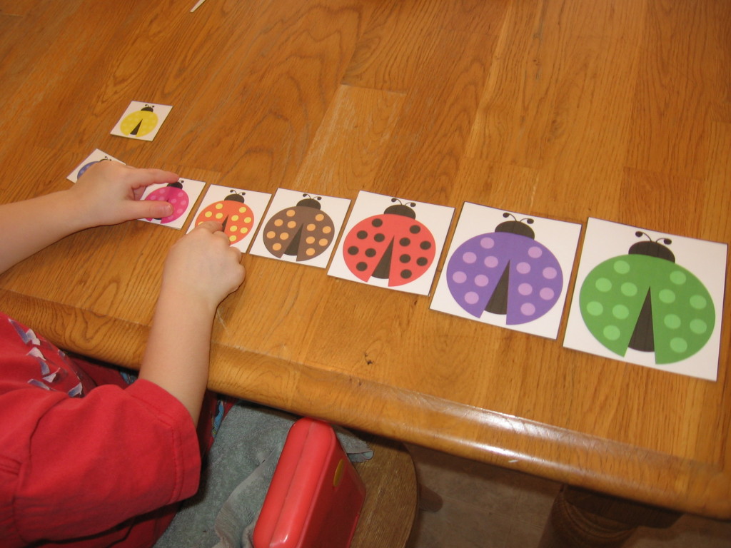 瓢虫大小的孩子排序