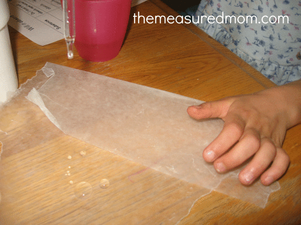 做科学活动的孩子会吸收或击退水