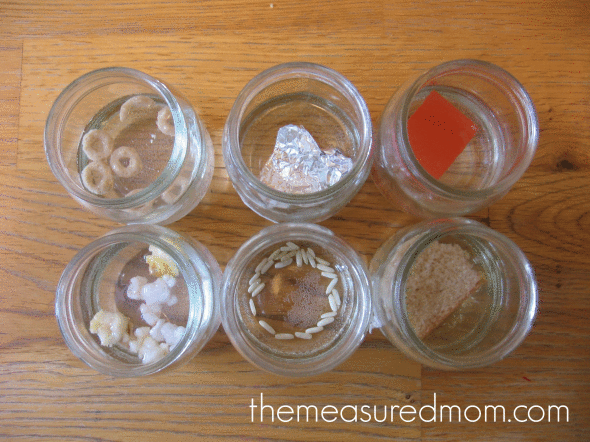 科学活动当不同的物体浸泡在水中时会发生什么