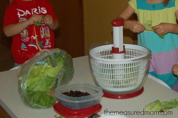 孩子们在厨房学到的7件事(3)——节制的妈妈