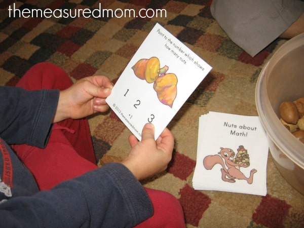 关于数学的坚果 - 测量的妈妈