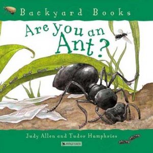 你是蚂蚁吗？