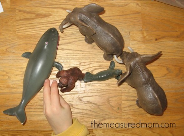 使A(6) -测量妈妈