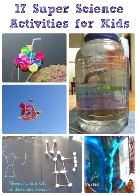 为孩子们尝试这些超级科学活动！我们喜欢你用粉笔制作鲸鱼鲸鱼的那个。