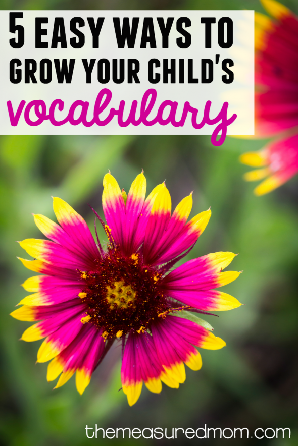 从婴儿时期开始，你帮助你的孩子发展词汇量。看看这篇文章的5个简单的技巧!