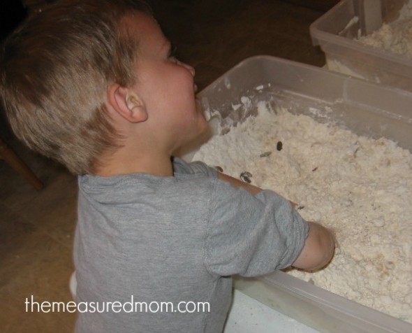 多么有趣的硬币收集活动，幼稚园，和一年级!