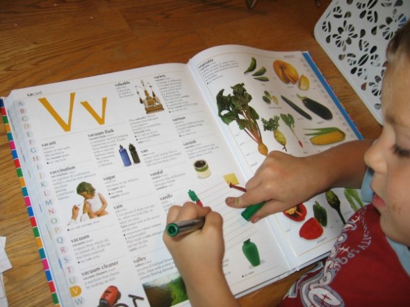 庭院感觉浴缸12