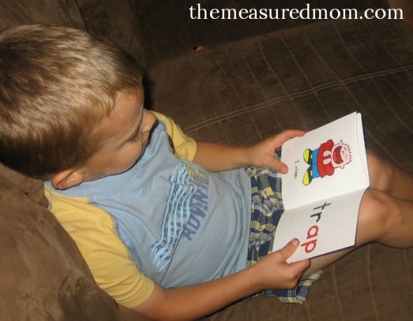 教孩子们用这些免费的可打印迷你书籍阅读短暂的单词家庭！