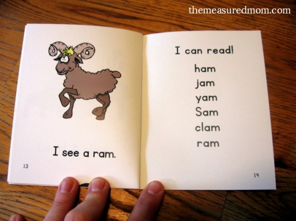 教孩子们用这些免费的可打印迷你书籍阅读短暂的单词家庭！
