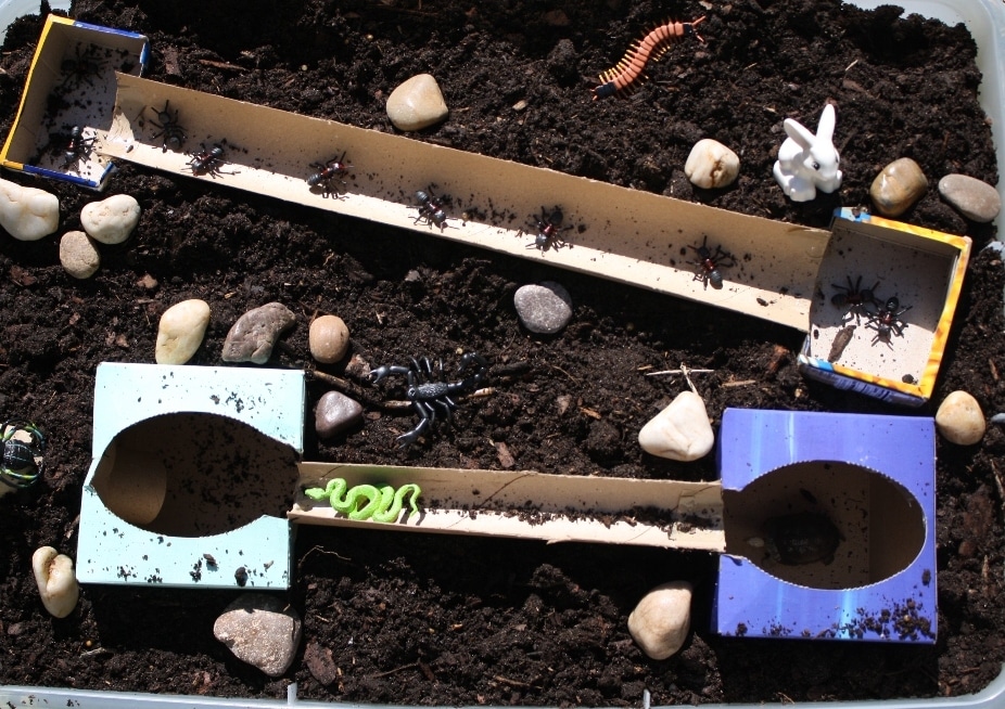 地下动物奇妙的乐趣