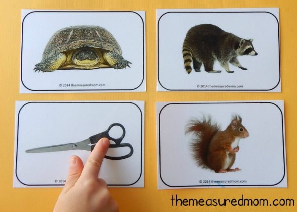 这些免费打印字母卡片是华丽的!喜欢鲜艳的颜色……每个字母至少有4张图片!gydF4y2Ba