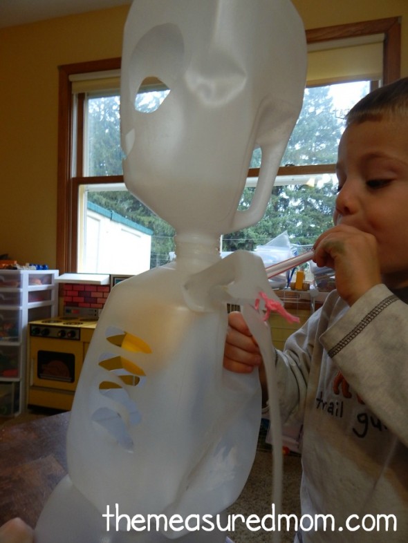 牛奶壶骨架呼吸