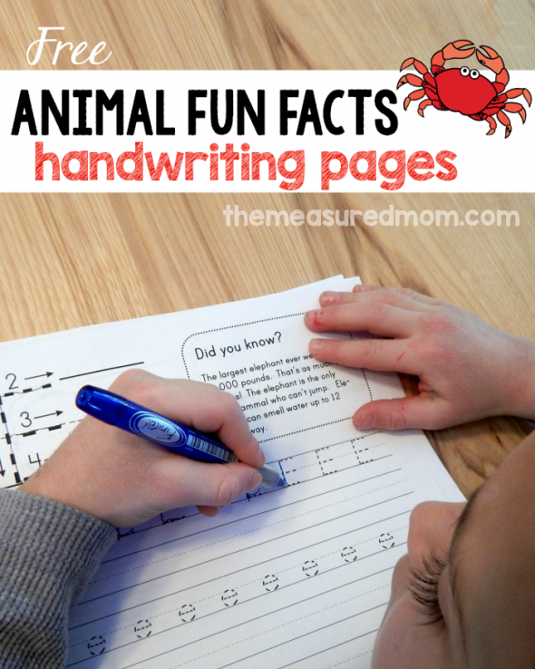 获得这组26个免费的手写工作表，包括动物有趣的事实。没有更无聊的笔迹练习！