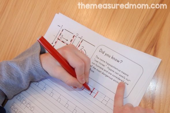 获得这组26个免费的手写工作表，包括动物有趣的事实。没有更无聊的笔迹练习！